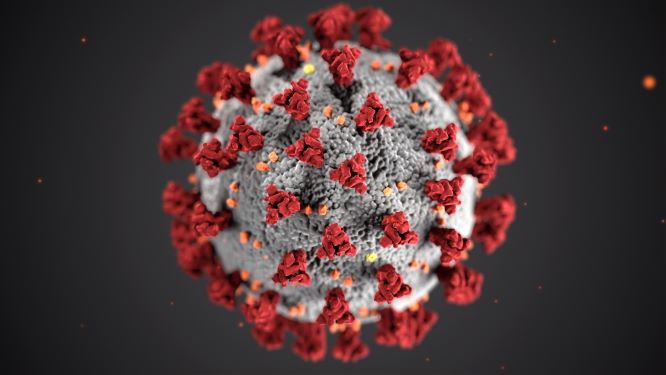 Coronavirus particle