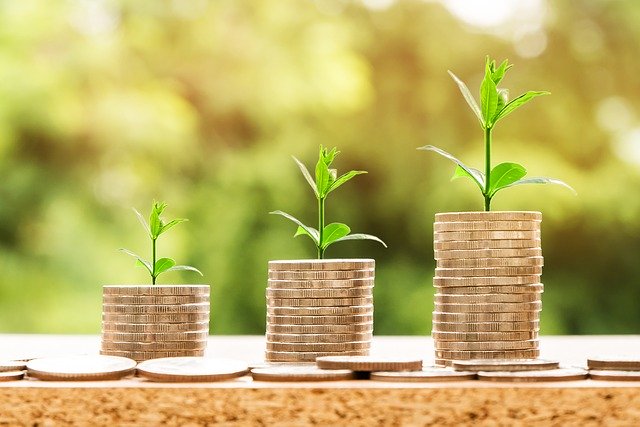 Sprouts growing out of coin money stacks