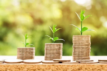 grow your money