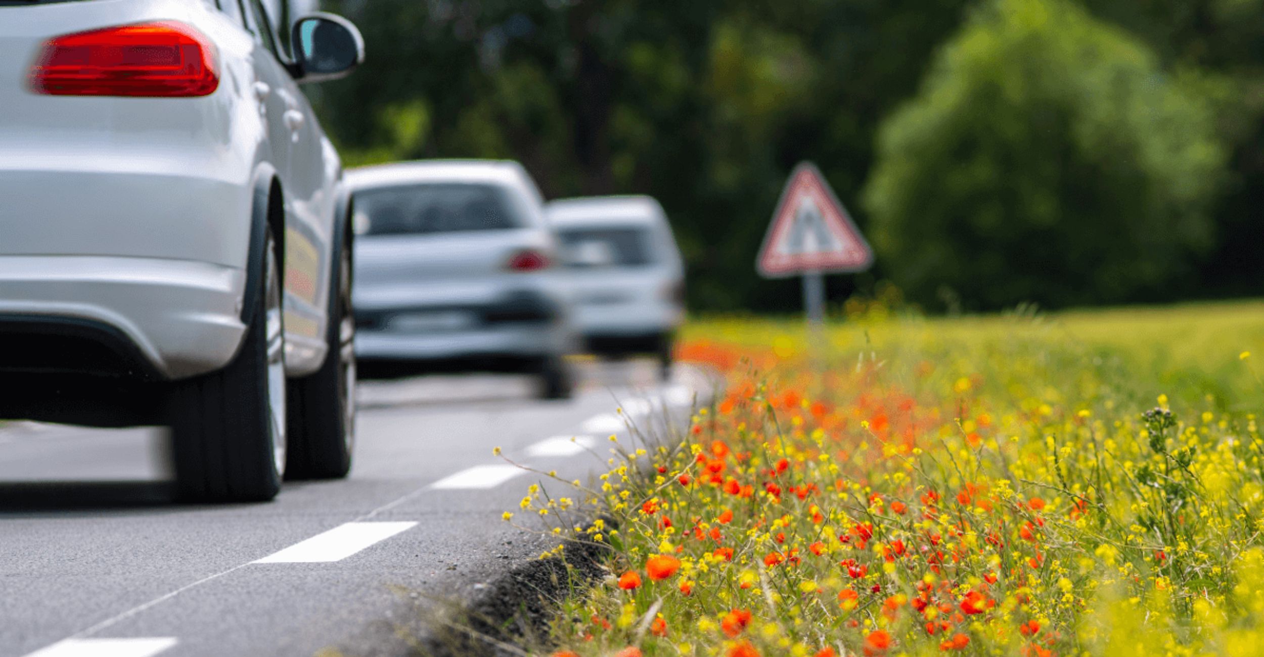 Cars driving down the road next to flowers